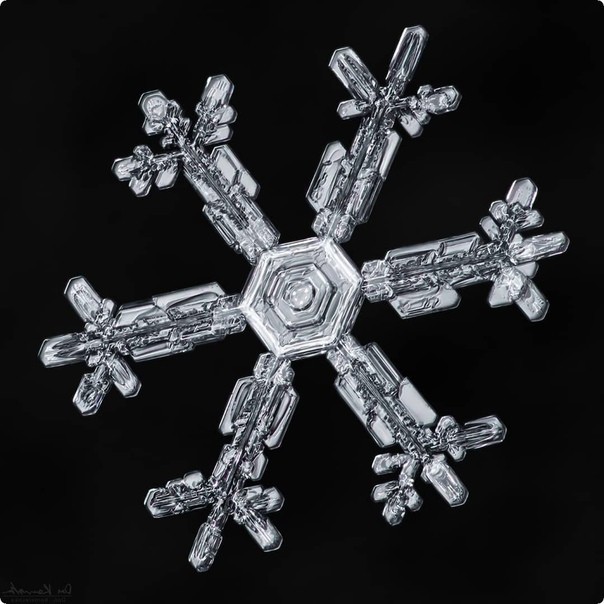 Unusual macro photo of snowflakes - Macro photography, Macro, Snow, Longpost