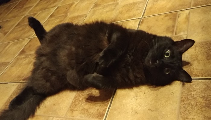 Находчивость.