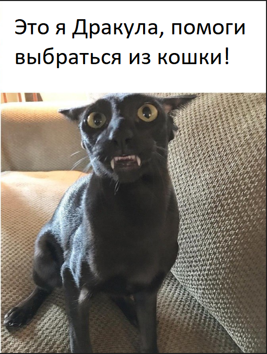 �������������� � ���� ����� �� �� �����