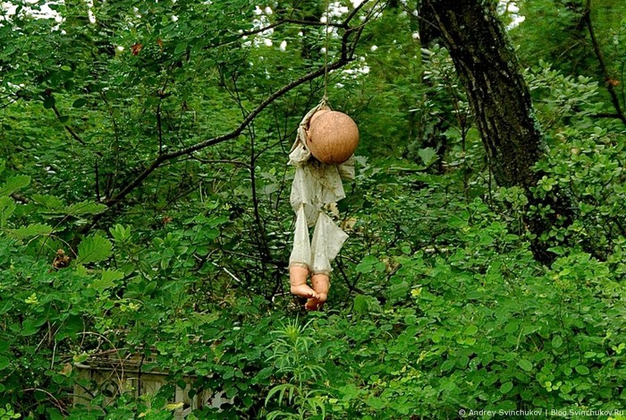 ���� � ����