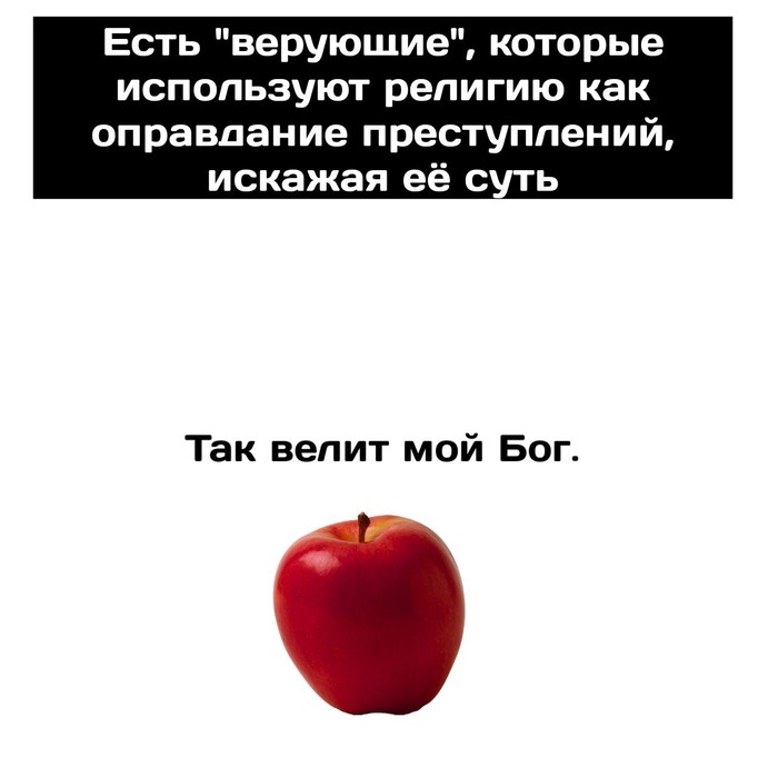 Адекватный взгляд | Пикабу