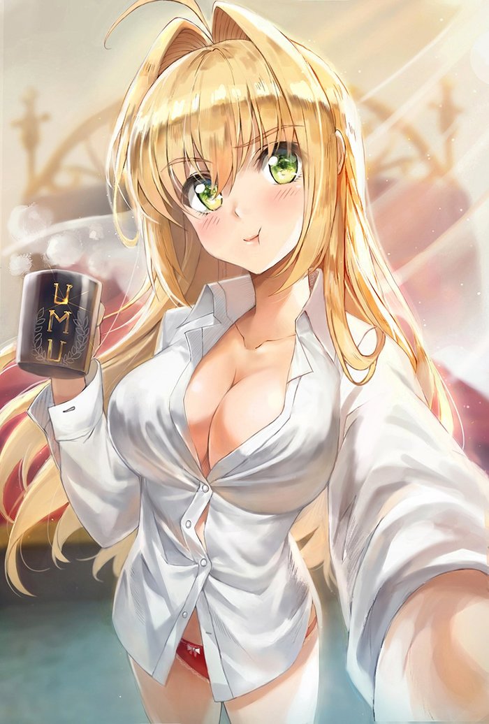 Fate/Grand Order - Аниме, Anime Art, Fate Grand Order, Nero Claudius, Грудь, Панцу