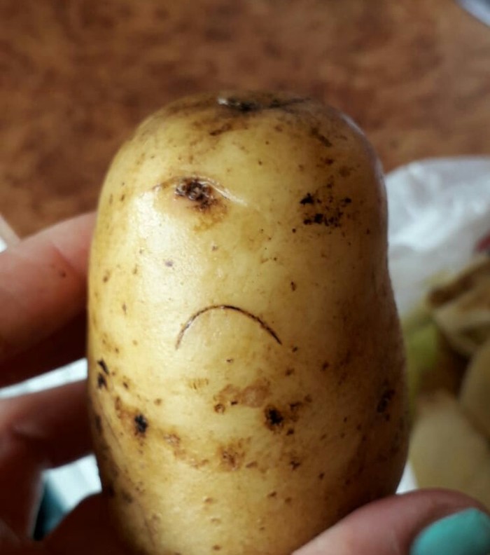 When the prospects are not encouraging - Pareidolia, Potato, My