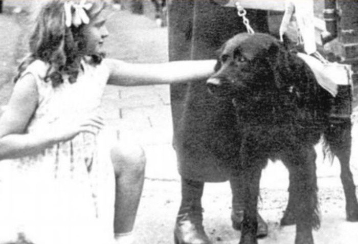 Dog of the century. - Dog, Jack, Rescuers, Old photo