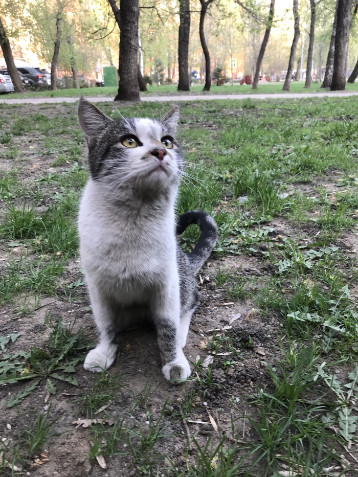 ÐоÑик в добÑÑе ÑÑки. ÐоÑ, Ðез ÑейÑинга, РдобÑÑе ÑÑки, ÐлиннопоÑÑ