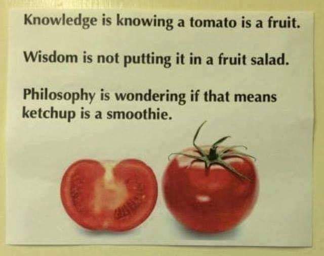 Philosophy is like this - Tomatoes, 