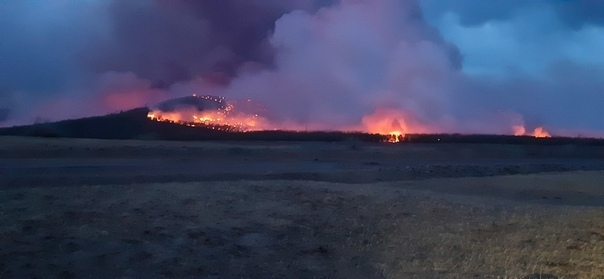 Burning grass and what it leads to - My, , Fire, Idiocy, Video, Longpost, Fallen Grass