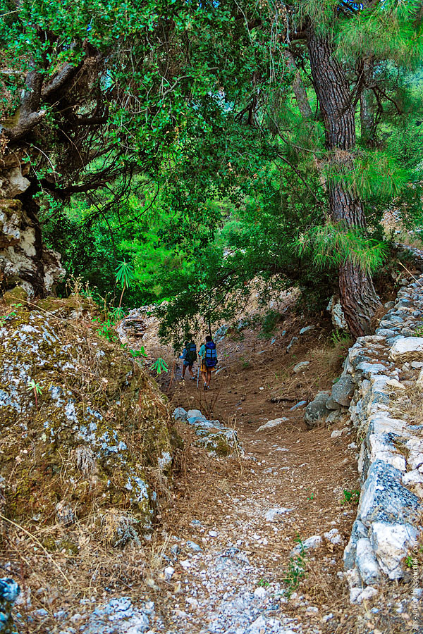 Elven path. - My, Travels, The photo, Tourism, Wild tourism, Hiking, The mountains, Longpost