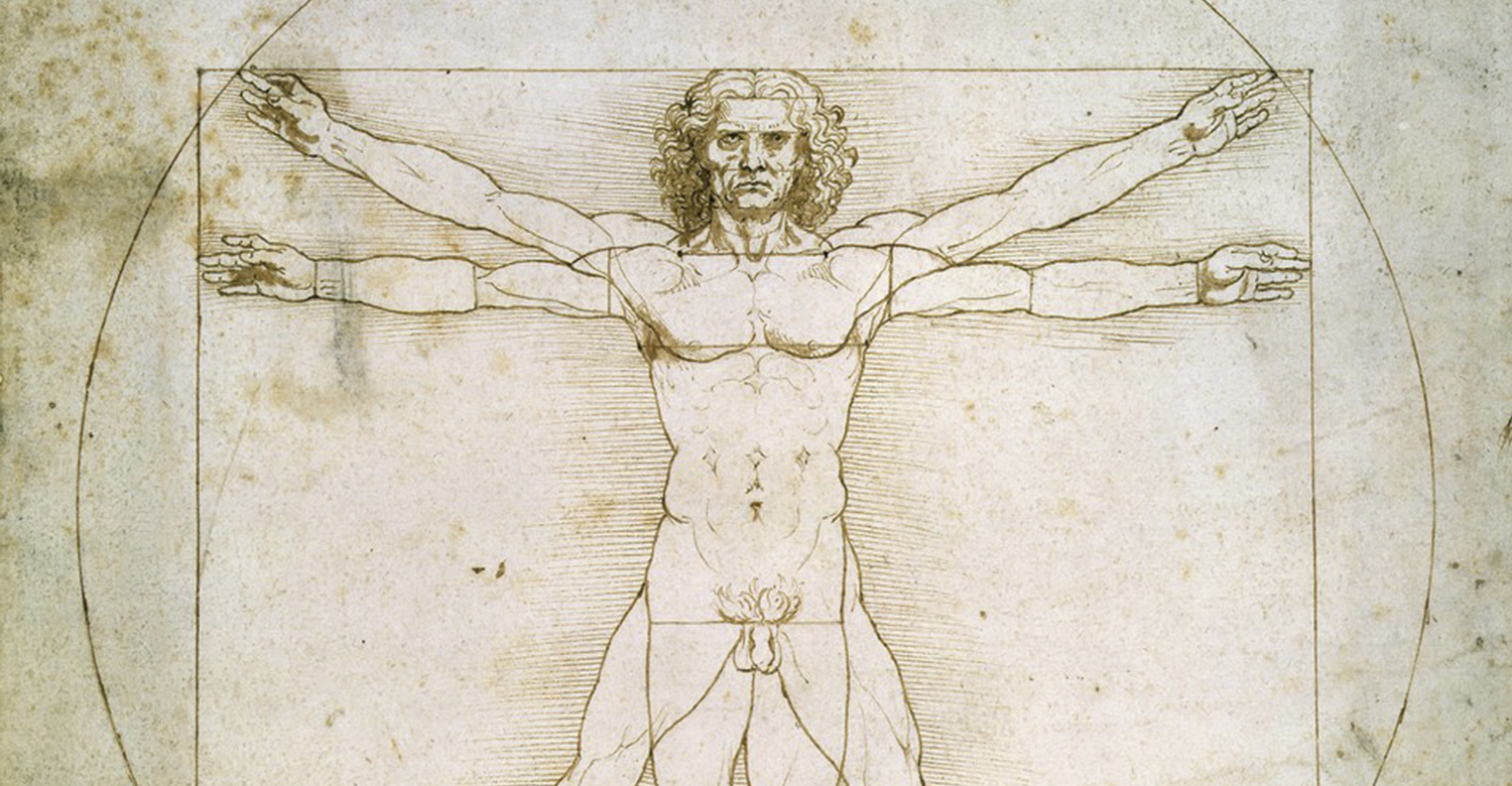 Тело возрождение. Микеланджело золотое сечение человека. Витрувианский человек. Человек эпохи Возрождения. Идеальный человек.