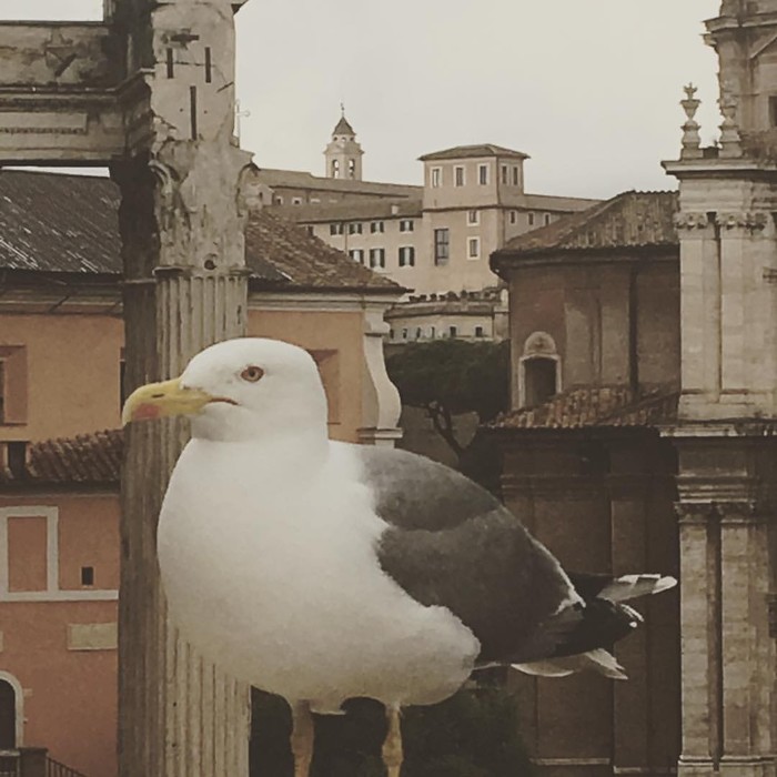 Rome, just a photo - My, Italy, The photo