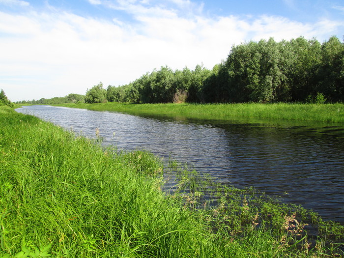 The Beauty of Siberia - My, Beginning photographer, Nature, Summer, The photo, Longpost