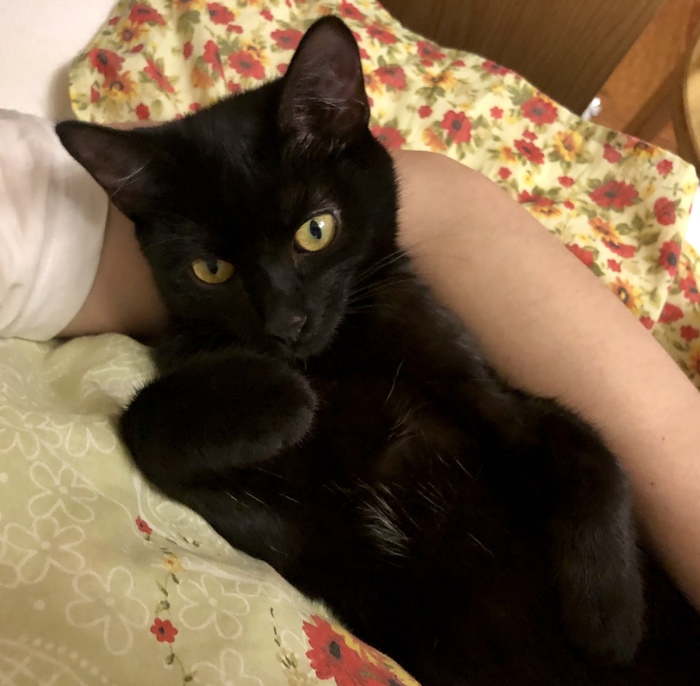 Демоны внутри)))