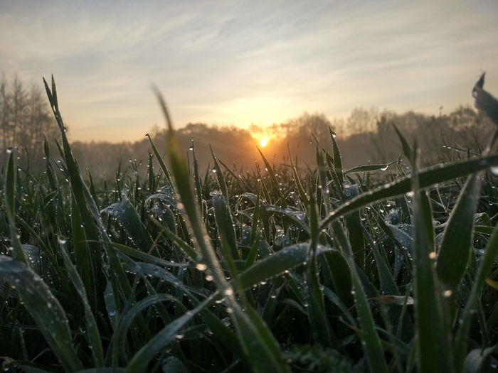 Morning on the way home - My, The photo, dawn, beauty, Nature