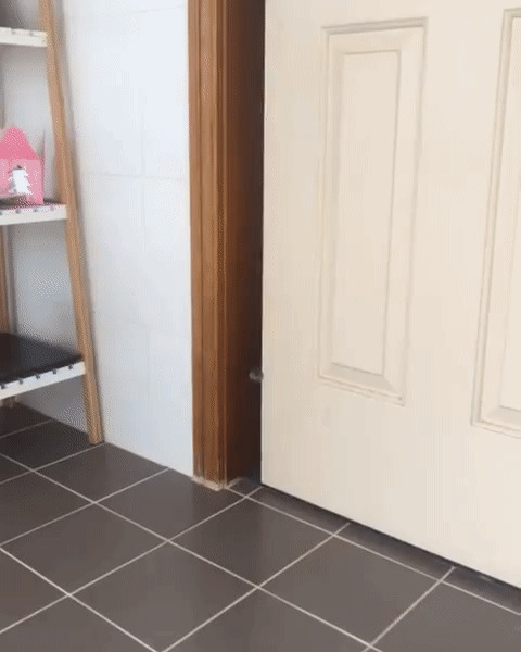 Когда знаешь, что тебя могут ждать неприятности..