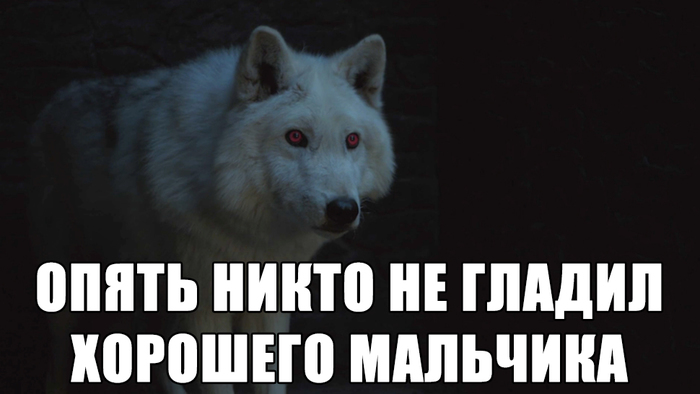 Just a HUGE SPOILER! Game of Thrones of course! - My, Game of Thrones, Game of Thrones season 8, Призрак, Direwolf