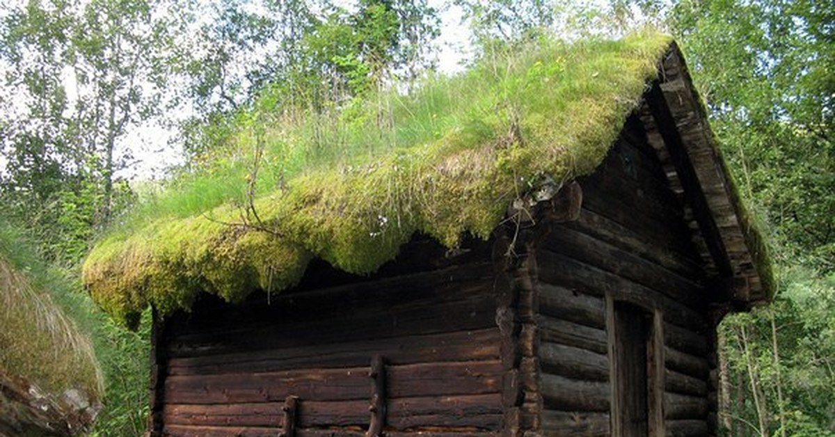 Избушка. Избушка на курьих ножках в Норвегии. Саамский Амбар на курьих ножках. Изба домовина. Избушка на курьих ножках домовина.