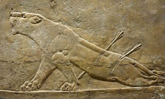 ассирия охота на львов