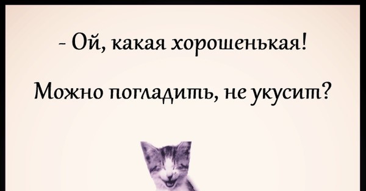 Ой какая есть. Ой какой хорошенький. Ой какая хорошенькая а можно погладить. Ой какая ты хорошенькая. Ты хорошенькая.