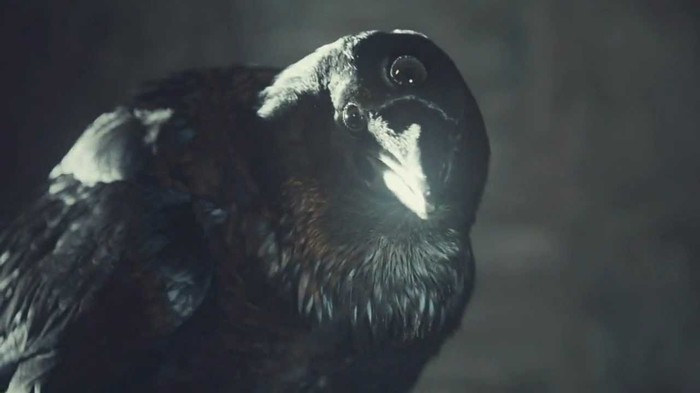 three-eyed raven - My, Game of Thrones, Spoiler, Bran Stark, Three-eyed raven, PLIO, Brynden Rivers, Bloody Raven, Longpost