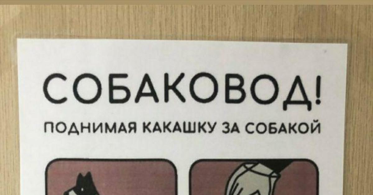 Убери какашки. Собаковод поднимая какашку. Убери какашку. Убирайте Собачье говно.