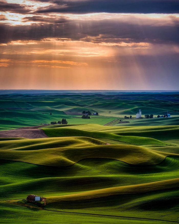 Palouse,  