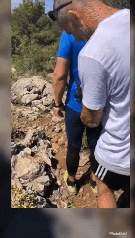 Дураки вы и шутки у вас такие же Гифка, Змея, Розыгрыш