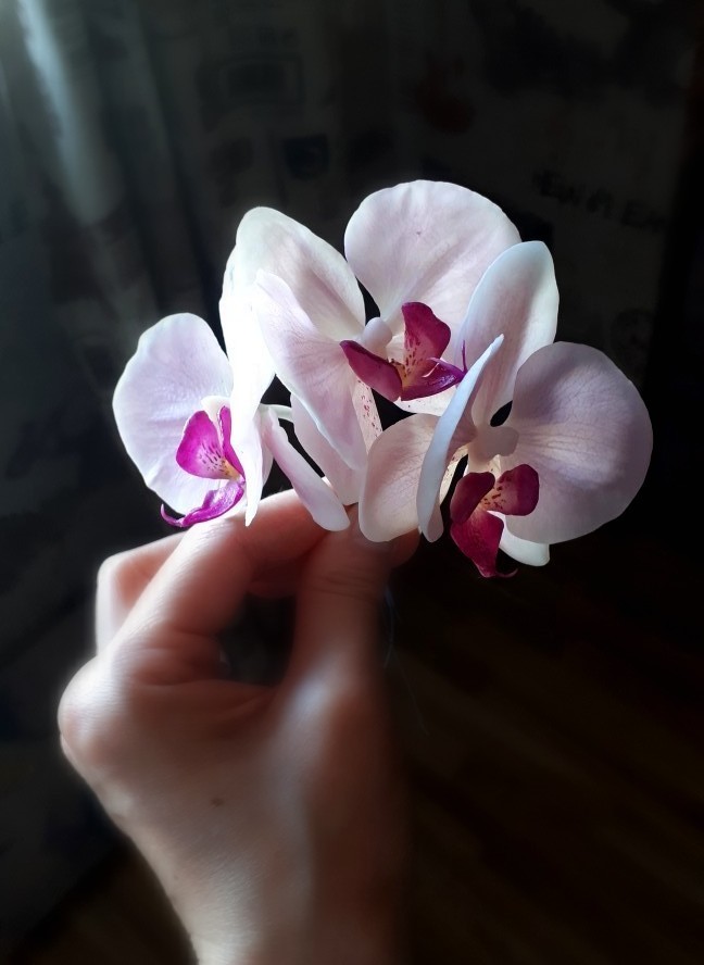 Everblooming orchid from polymer clay - My, Needlework without process, Handmade, Cold porcelain, Polymer clay, Orchids, Flowers, Longpost, Video
