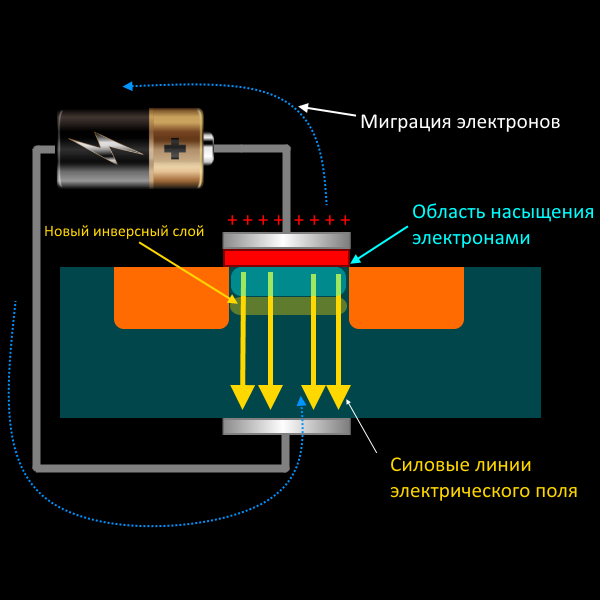 Semiconductors are the foundation of civilization. - My, Semiconductor, Transistor, Microelectronics, GIF, Longpost