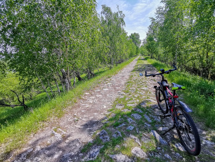 Spring sketches - My, Dzerzhinsk, Mobile photography, The photo, Nature, Longpost, A bike, Forest, Video
