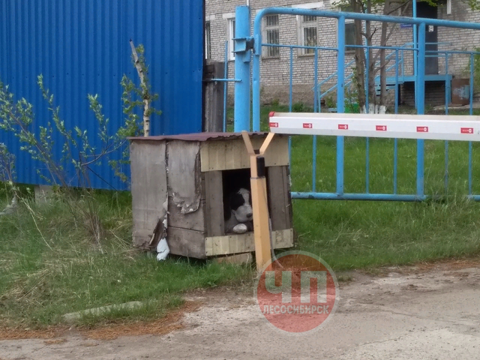 Не подходи, укушу!!