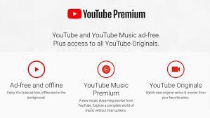 YouTube Premium        13   2024 1144 -   Tengrinewskz