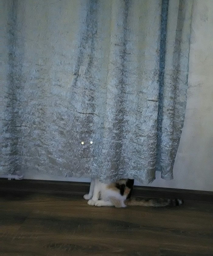 � ��� �����...