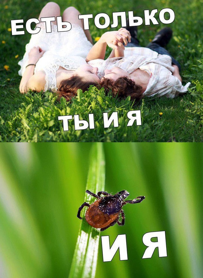 ������ �� �����