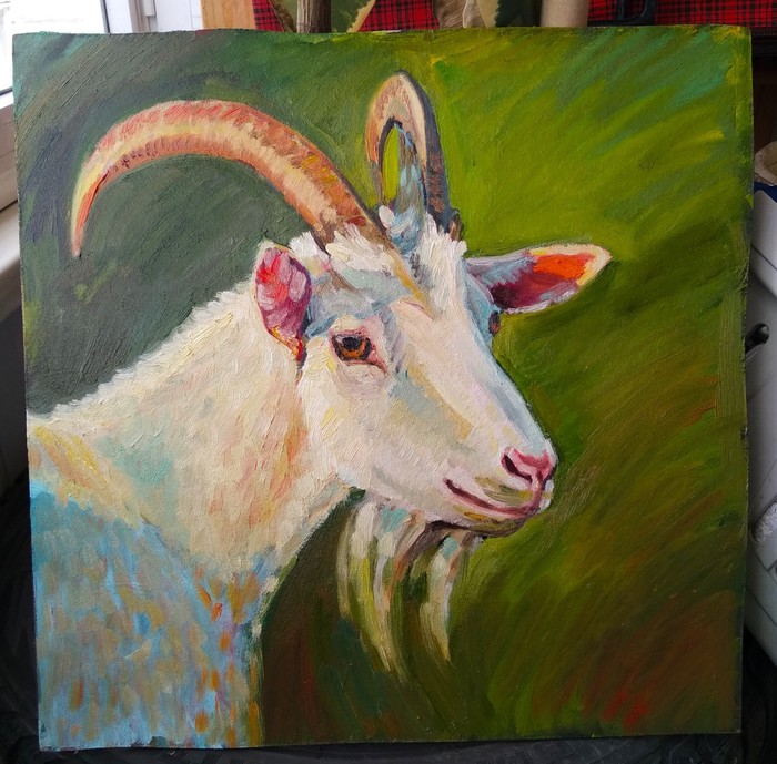 Goat - My, Painting, Goat, Animalistics, Pets, Drawing, Oil painting