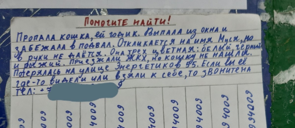 Объявление об утере студенческого билета образец в газету