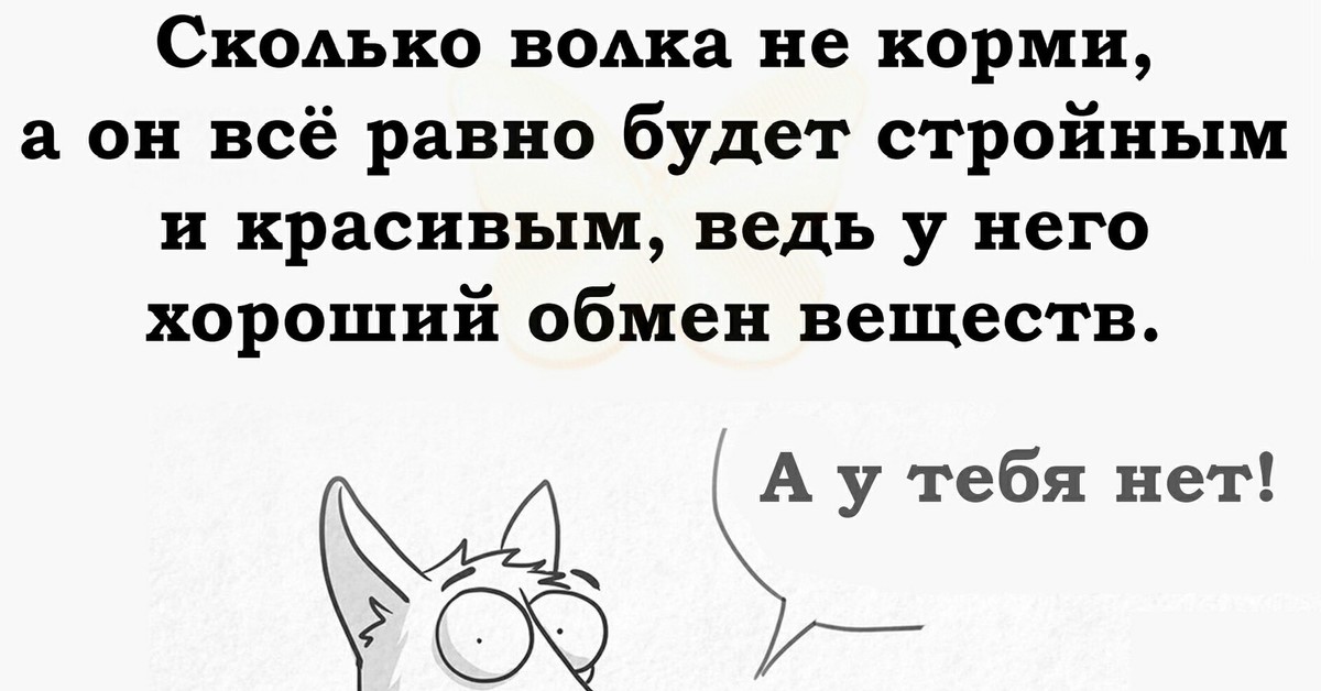 Сколько волка не корми все равно в лес смотрит рисунок