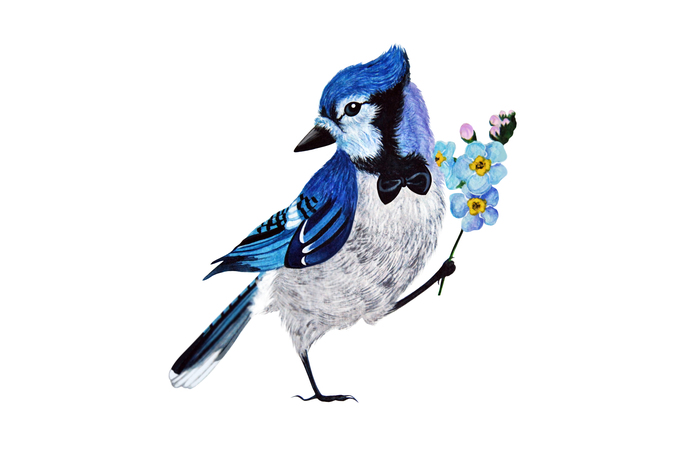 Gentleman's birds - My, Drawing, Watercolor, Jay, Forget-me-nots, Flowers, Birds, Gentlemen, Animalistics