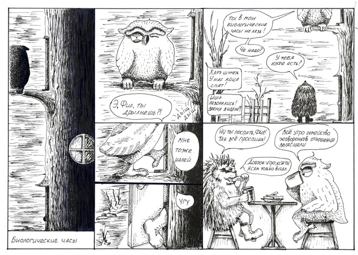 The biological clock - My, Art, Comics, Hedgehog