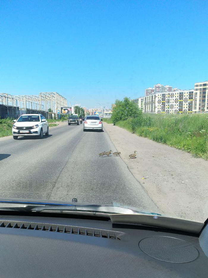 ������� �� ������