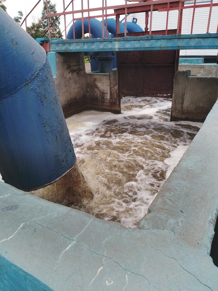 How to become a pro by visiting the city's wastewater treatment plant once. - My, Vodokanal, State, Napkins, Ecology, Proof, Longpost