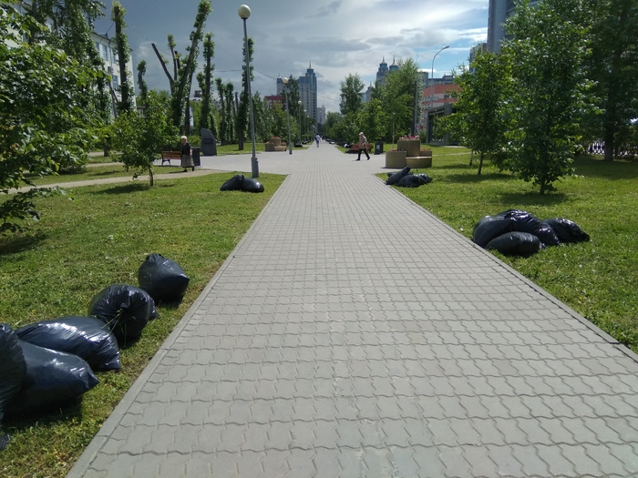Grass in bags... - My, Yekaterinburg, Garbage, Grass, Ecology, Idiocy