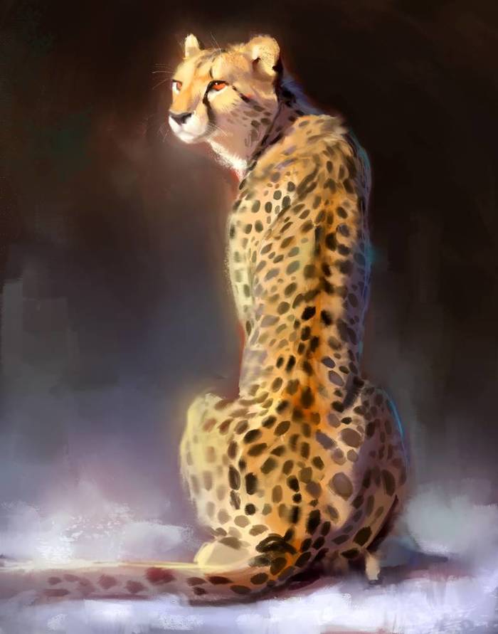 Cheetah - Art, Wild animals, Cheetah, 