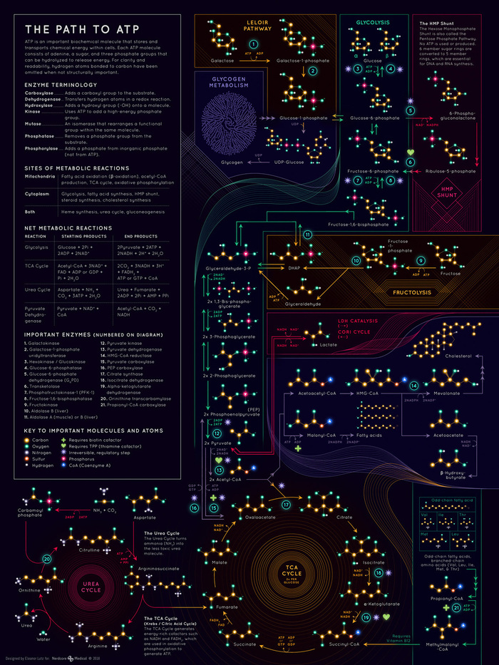 Карта орбит Солнечной системы, которая взорвет ваш мозг. Наука, Картинки, Космос, Человек, Вселенная, Vipman84, Интересное, Длиннопост