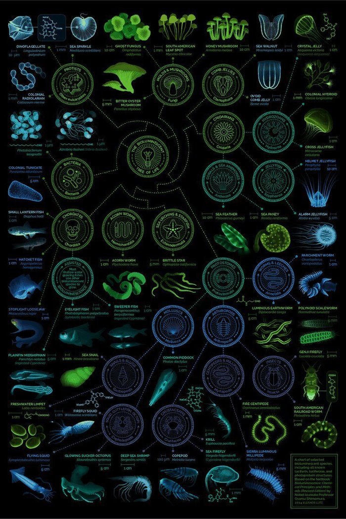 Карта орбит Солнечной системы, которая взорвет ваш мозг. Наука, Картинки, Космос, Человек, Вселенная, Vipman84, Интересное, Длиннопост