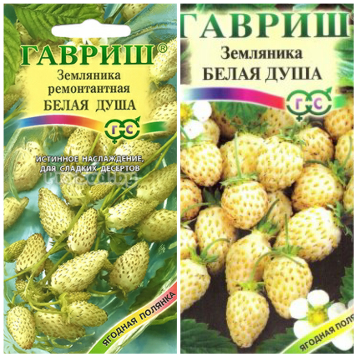 Fantasies of agricultural firms. - Seeds, Longpost, Agrofirma, White strawberries