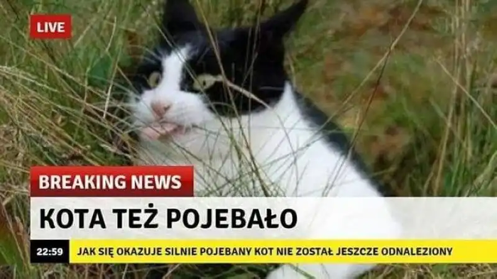 В эфире польские новости!