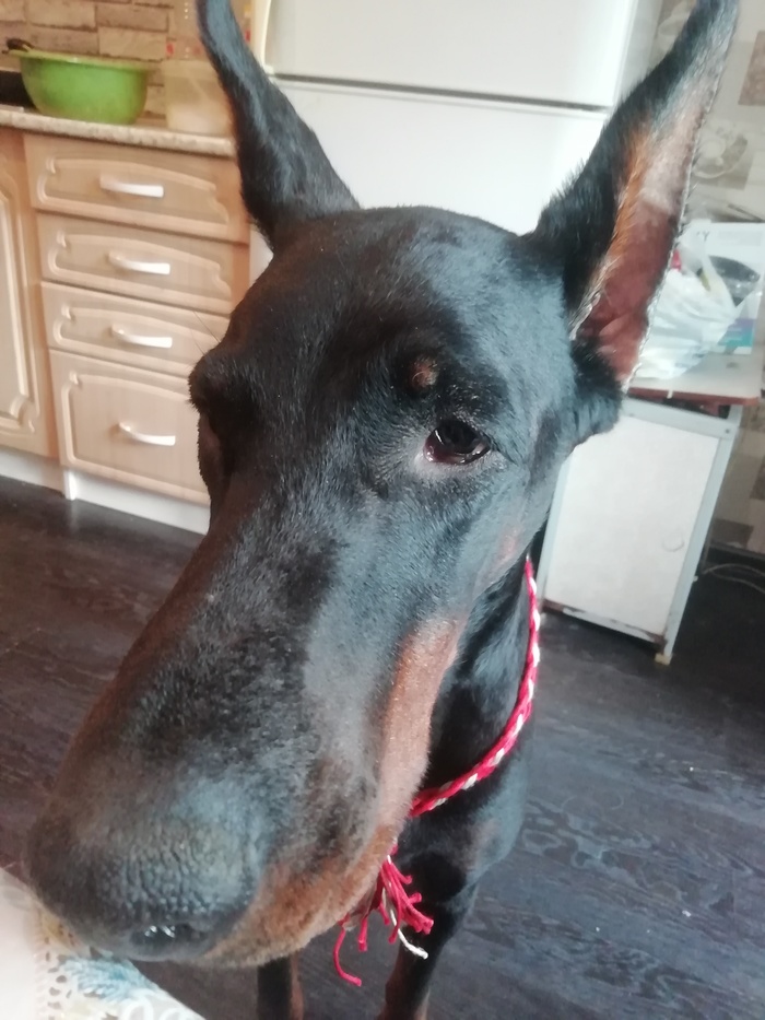 ��� �������