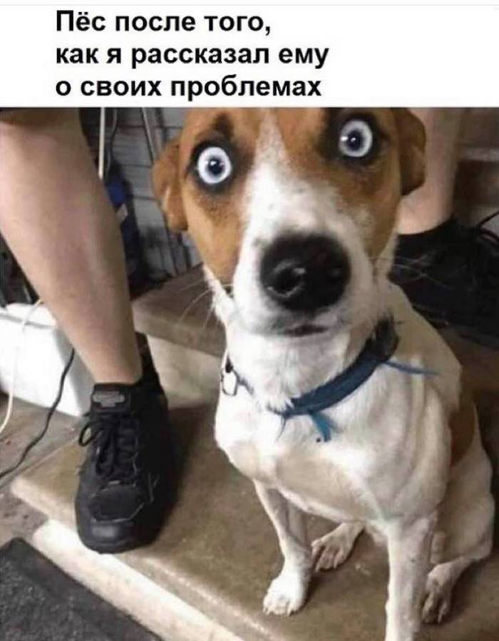 ,   , , 