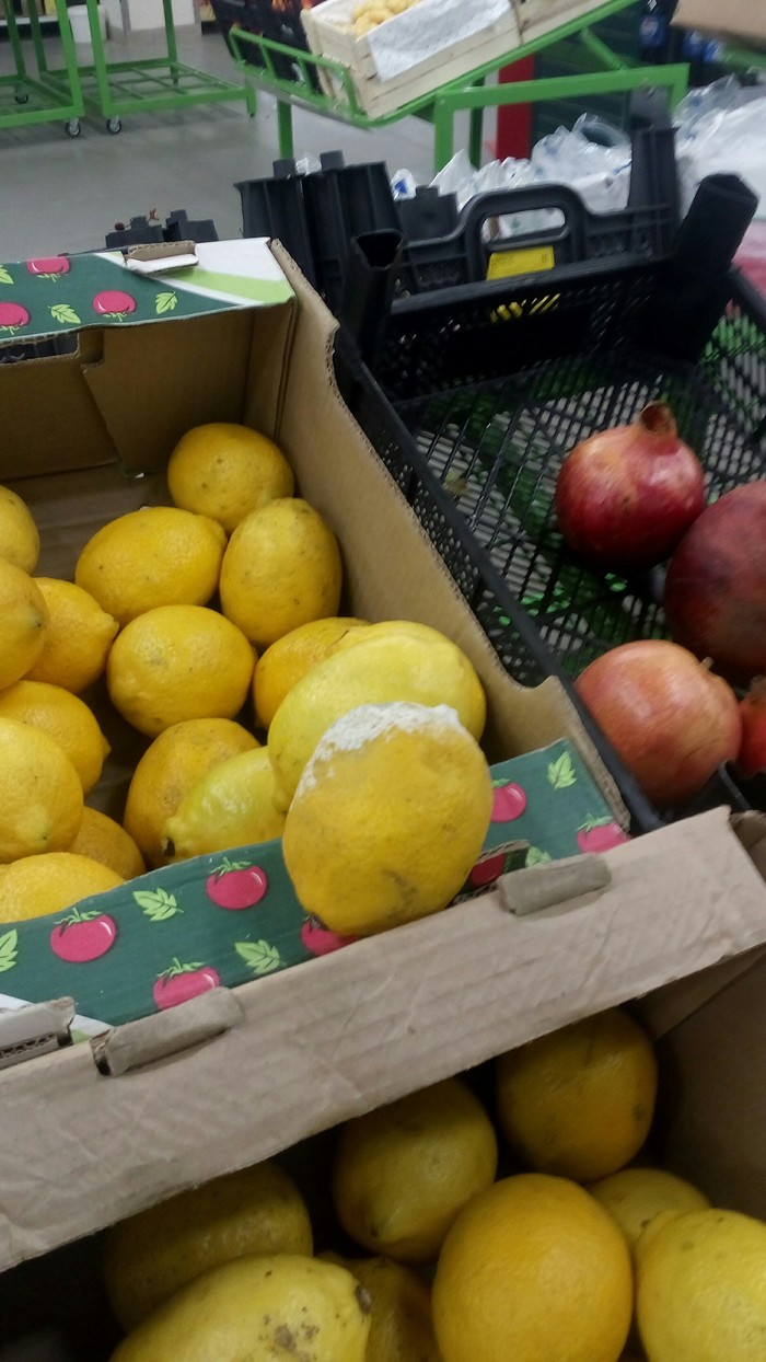 �������� �� ��� �� �������?