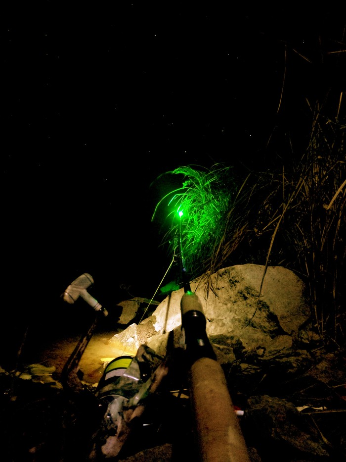 Fishing at night - My, Fishing, Nature